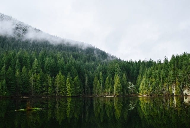 Paisaje natural en Vancouver